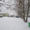 la grande nevicata del febbraio 2012 149